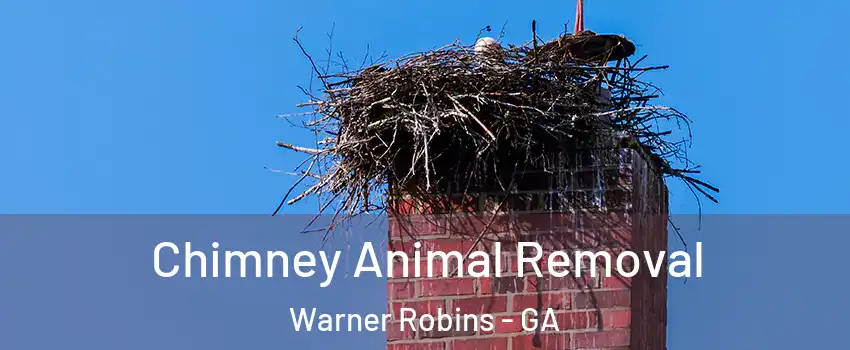 Chimney Animal Removal Warner Robins - GA