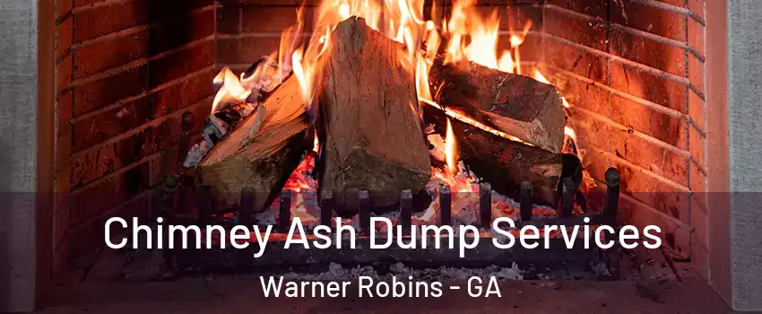  Chimney Ash Dump Services Warner Robins - GA