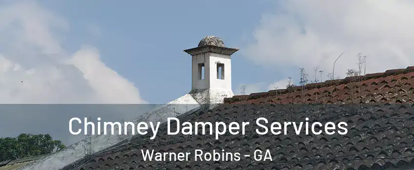  Chimney Damper Services Warner Robins - GA