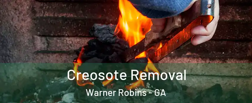  Creosote Removal Warner Robins - GA