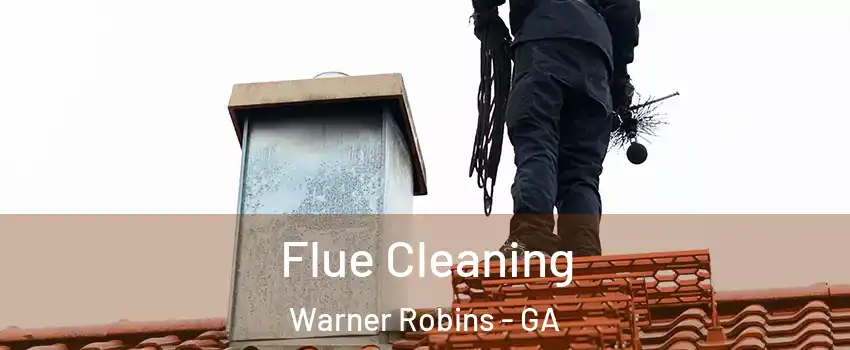  Flue Cleaning Warner Robins - GA