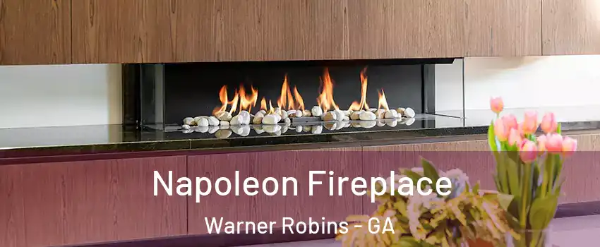  Napoleon Fireplace Warner Robins - GA